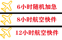 昭通机场托运快递公司,专业空运当天件